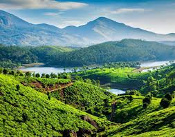 kerala Tour